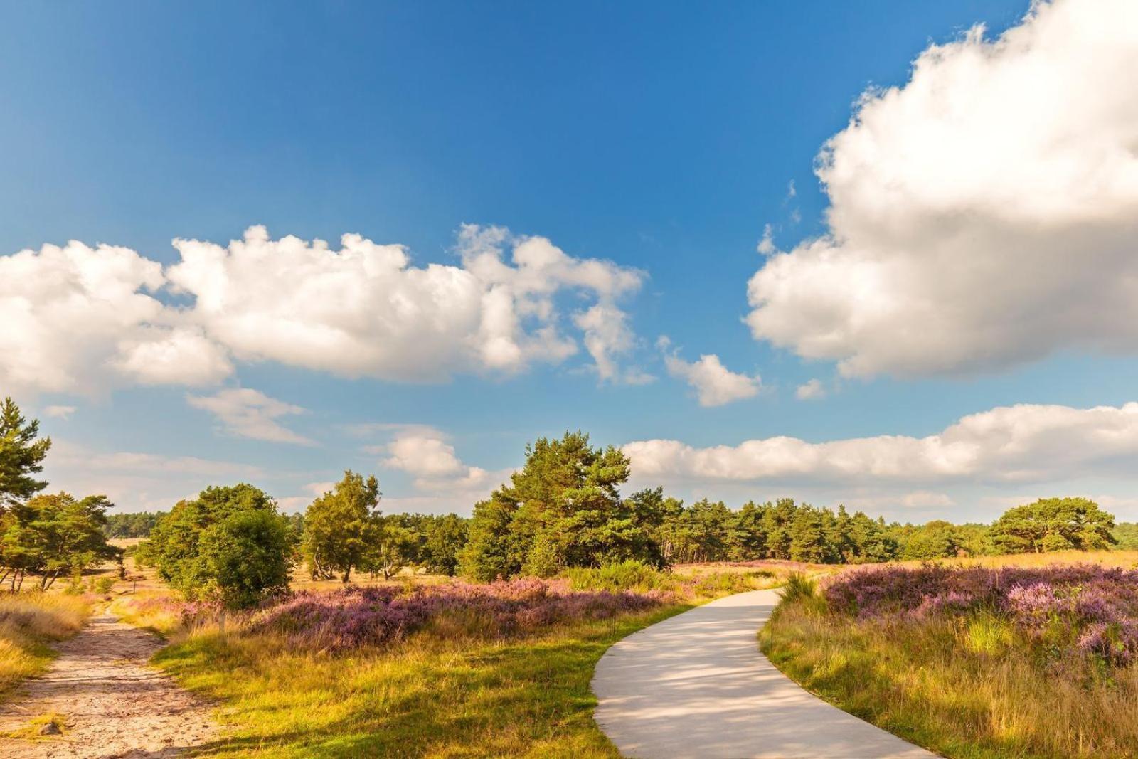 Top Luxe Chalet - Kindvriendelijk - Bos En Heide Harderwijk Ngoại thất bức ảnh